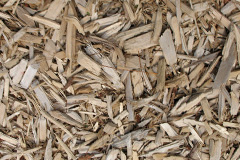 biomass boilers Birch Heath
